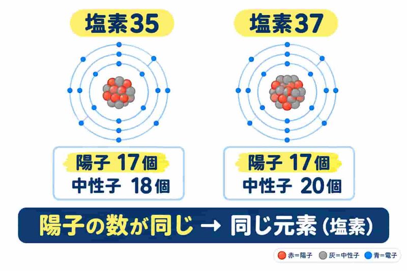 塩素35と塩素37の原子モデルの比較図。どちらも陽子は17個で、中性子が18個と20個で異なる。陽子の数が同じなので同じ元素(塩素)