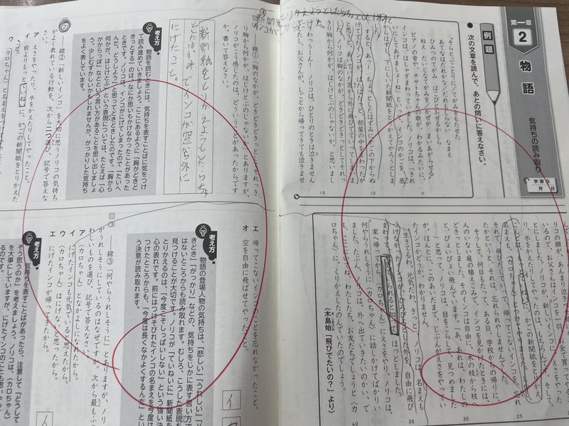 国語の問題集に赤ペンで根拠を書き込んだ記述対策の記録